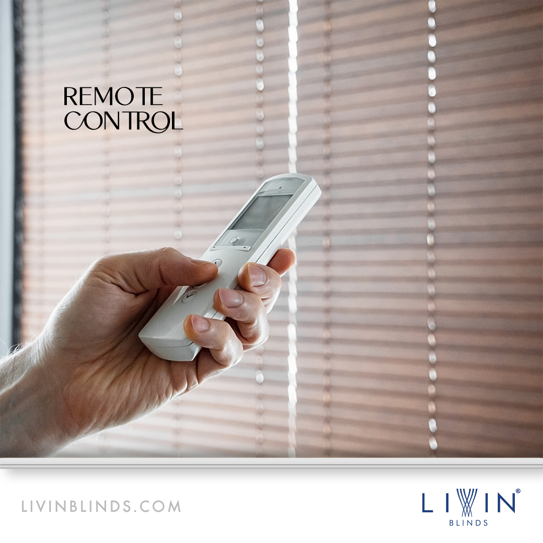 Reimagine your Living Space with Window Shades - Delhi - Delhi ID1593897