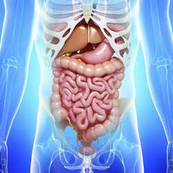 Expert in Functional GI Disorders in Ahmedabad  Dr Jigar - Gujarat - Ahmedabad ID1594995