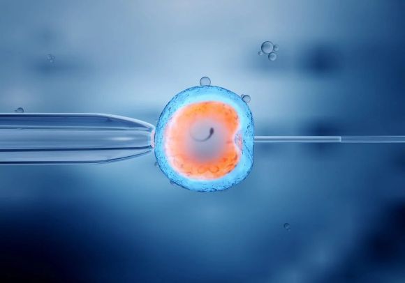The Best IVF Center in Kolkata - West Bengal - Kolkata ID1597965