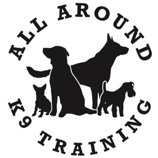 Dog Trainer San Antonio - Texas - San Antonio ID1594740