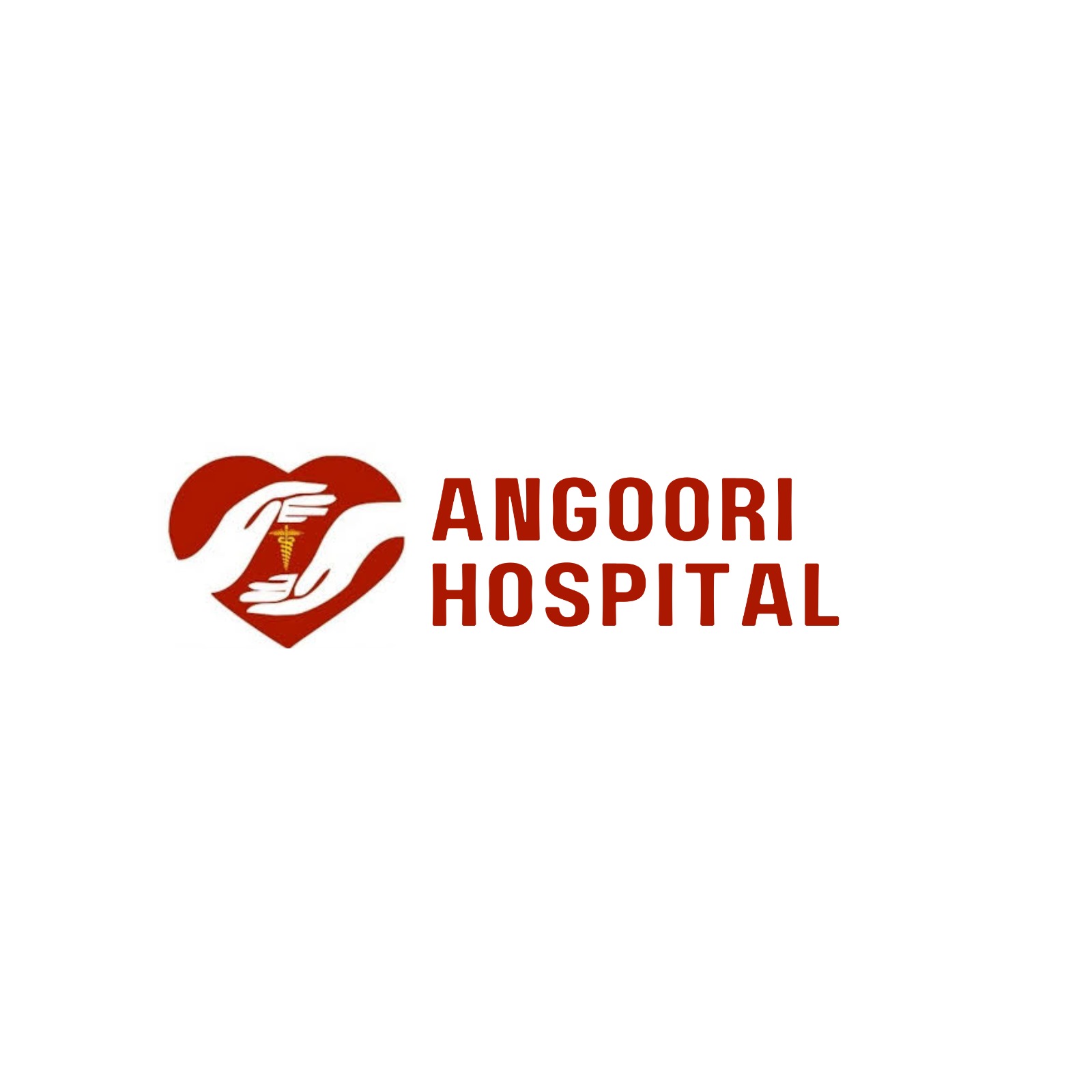 Angoori Hospital  Dr Mahesh Chandra Chandravanshi - Uttar Pradesh - Meerut ID1590374