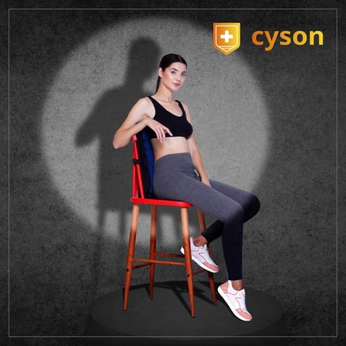 Backrest Support for Back Pain  Orthopedic Backrest Cushion - Haryana - Gurgaon ID1611322