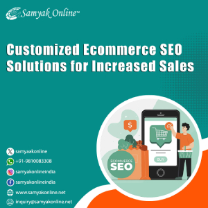 Customized Ecommerce SEO Solutions for Increased Sales - Delhi - Delhi ID1591647