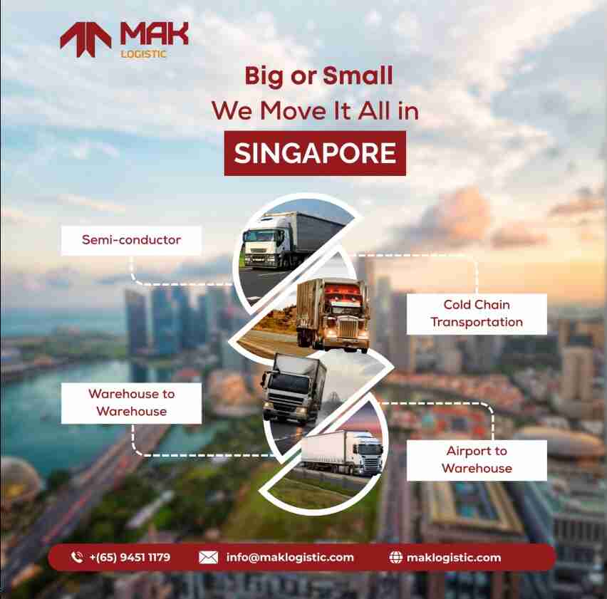 Big or Small We Move It All in Singapore! - Arizona - Mesa ID1619005