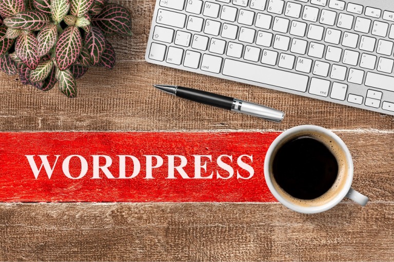 Wordpress Development Services - Delhi - Delhi ID1551871