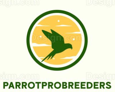 HandRaised Parrots for Sale  ParrotPro Breeders - Ohio - Columbus ID1619677