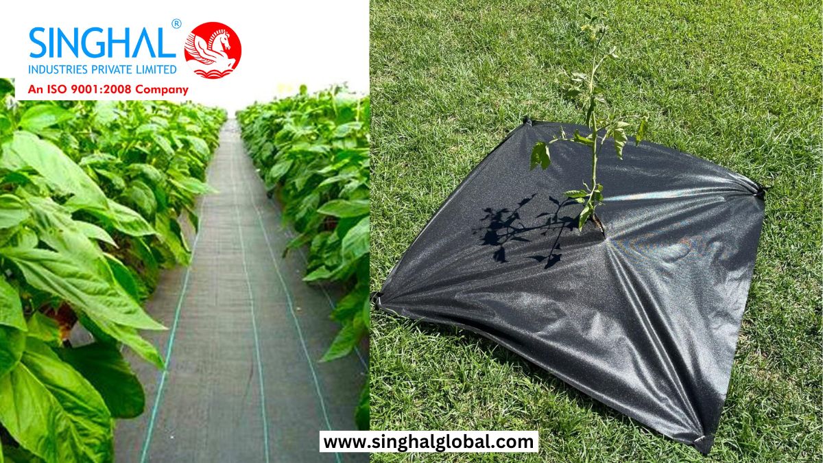 Choosing the Right Weed Mat Supplier - Gujarat - Ahmedabad ID1592763