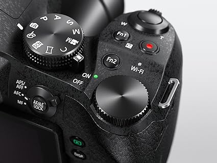 Panasonic LUMIX FZ300 Long Zoom Digital Camera Features 121 - New York - Albany ID1537472 2