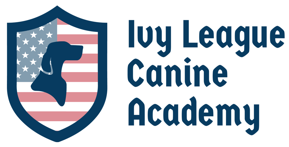 Get TopQuality Dog Training Services at Ivy League Canine A - Texas - San Antonio ID1531992