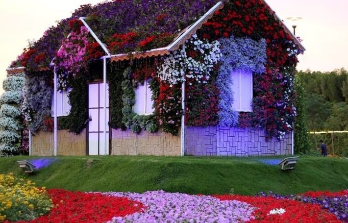Dubai Miracle Garden Tour Tickets - Kentucky - Lexington ID1605770