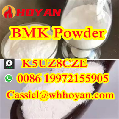 CAS 5449127 BMK Glycidic Acid powder 100 Pass Customs - Alaska - Anchorage ID1551262 2