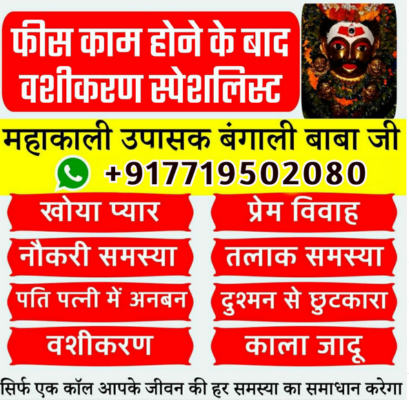 Love back famous astrologer in chandighar917719502080 - Chandigarh - Chandigarh ID1554524