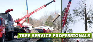 Tree Removal Cost MORRIS County NJ - New Jersey - Jersey City ID1611861