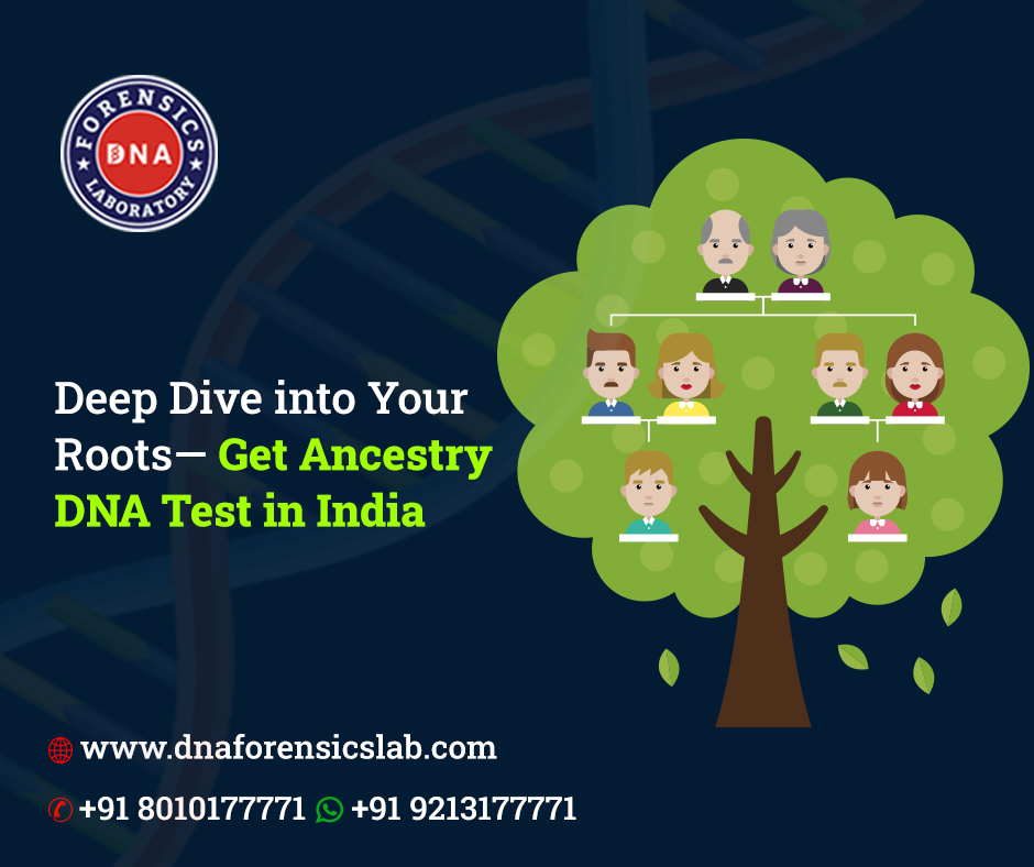 Discovering the Roots with Ancestry DNA Test - Delhi - Delhi ID1591329