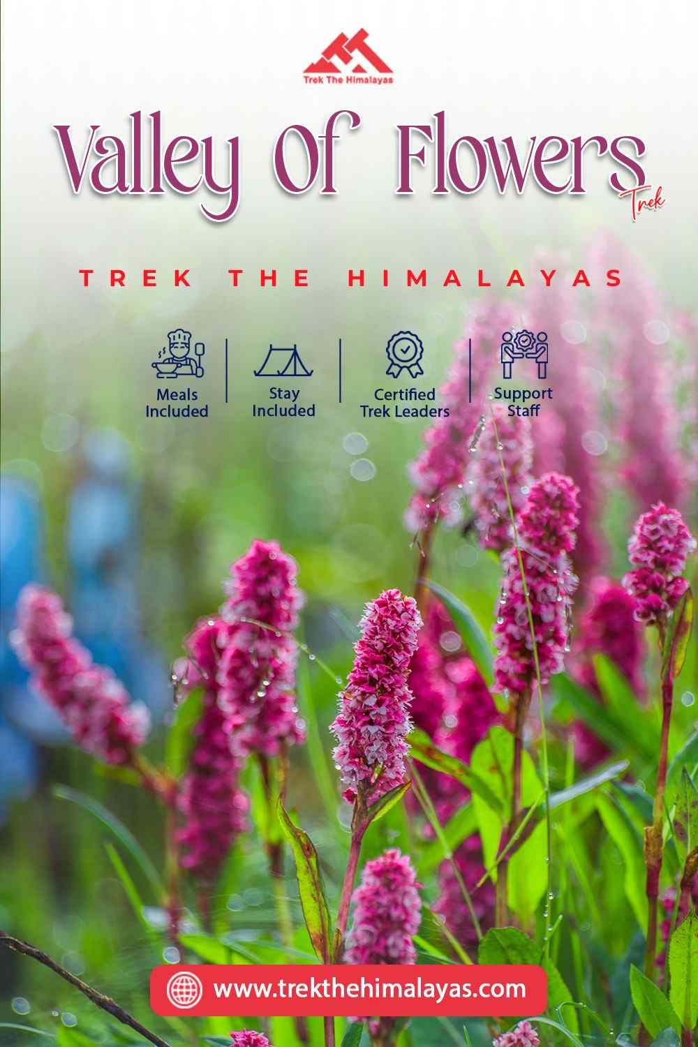 Valley of Flowers in Uttarakhand - Uttaranchal - Dehra Dun ID1601758