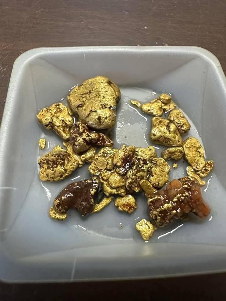 Gold Nuggets and dinosaur clawsteeth for sale - New York - Buffalo ID1604865