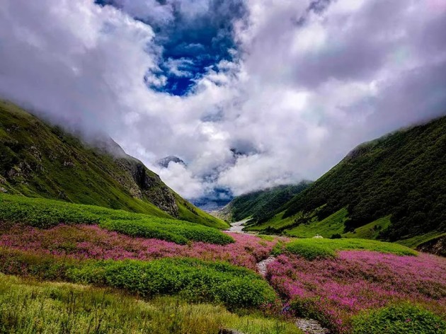 Witness the Magic! Valley of Flowers Trek 2025  Book Your - Uttaranchal - Dehra Dun ID1601961 1