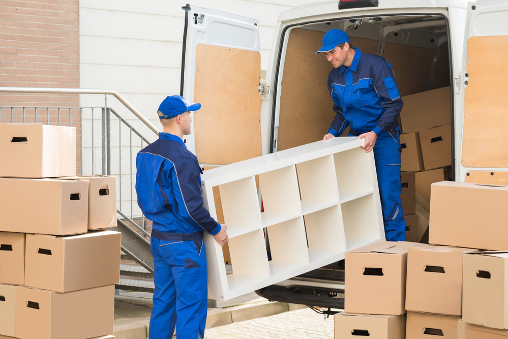 Edison Packers and Movers - New Jersey - Jersey City ID1523227 2
