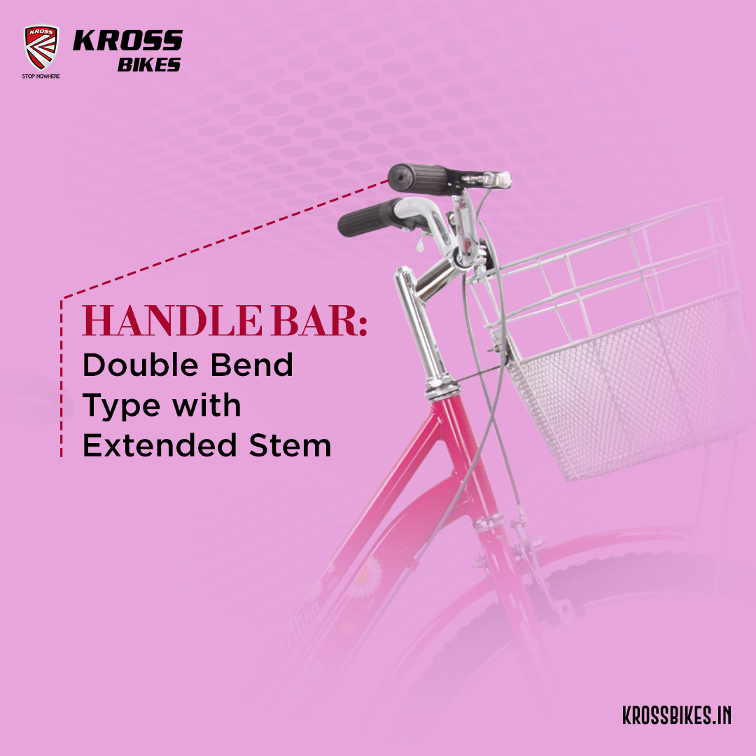 Buy the Comfortable Ladies Bicycle Online - Punjab - Ludhiana ID1595796