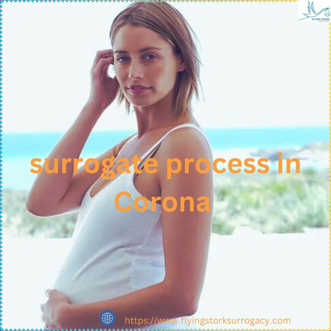 Looking for Surrogate Mother in Corona at Flying Stork Surro - California - Corona ID1538258 2