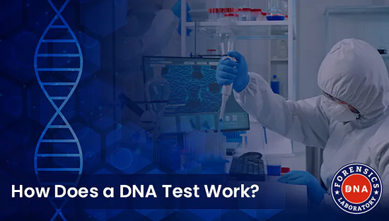 Explore the Benefits of DNA Testing Services in India - Delhi - Delhi ID1550464