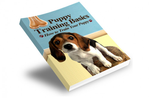 Puppy Training Basics Book - New York - New York ID1560175