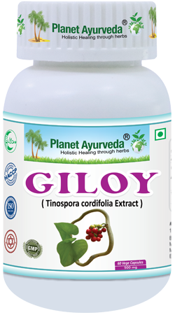  Giloy Capsules  Herbal Remedy for Low Platelet Count - Chandigarh - Chandigarh ID1585703