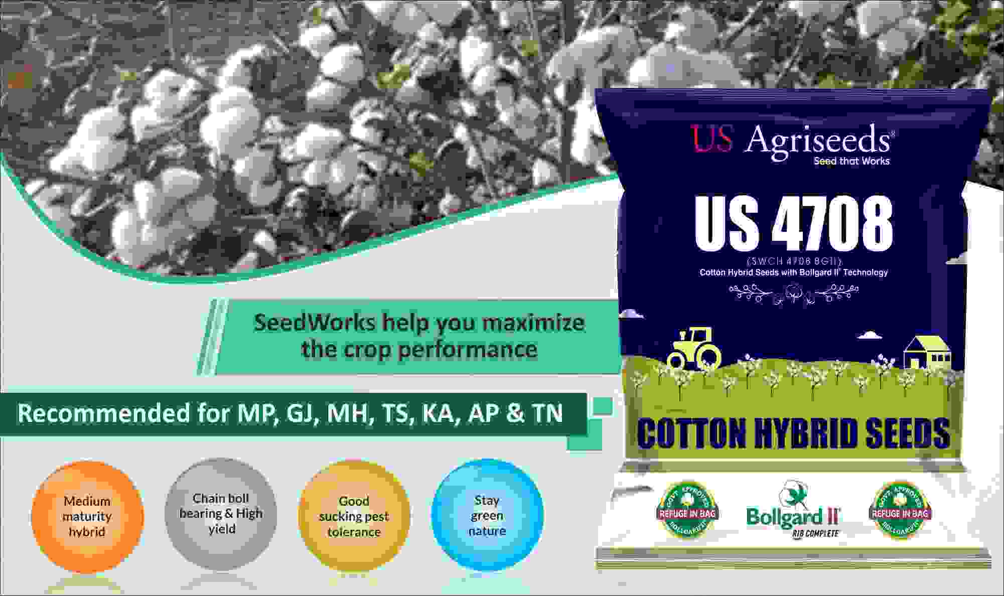 Hybrid Rice Seed Companies in India - Andhra Pradesh - Hyderabad ID1604166