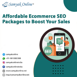 Affordable Ecommerce SEO Packages to Boost Your Sales - Delhi - Delhi ID1599611