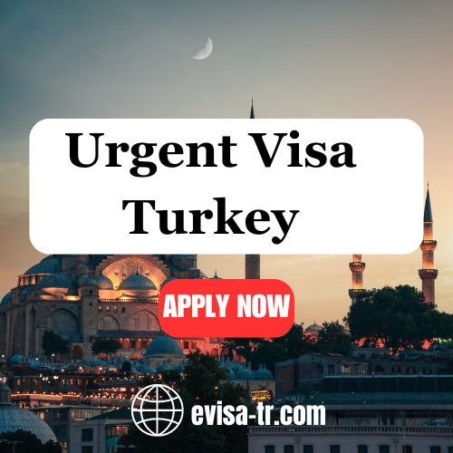 Urgent visa Turkey - California - Corona ID1550933