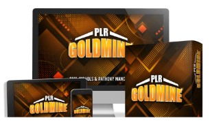 PLR Goldmine Bundle Review - New York - Albany ID1593983 2