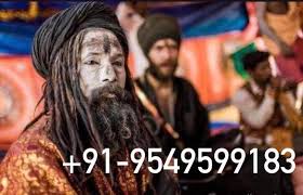 Tantra Vidya Specialist Astrologer Specialties Baba Ji - Daman & Diu - Bhimpur ID1617645