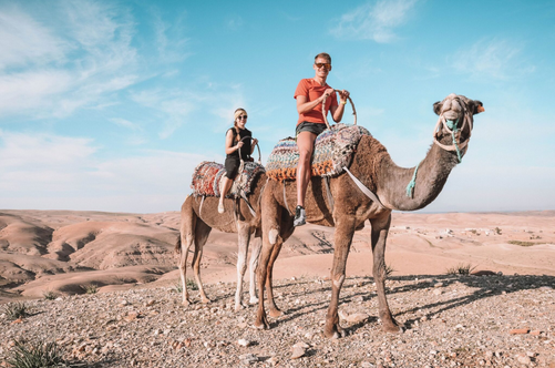 Morocco Private Tours Packages - New York - New York ID1609980 2