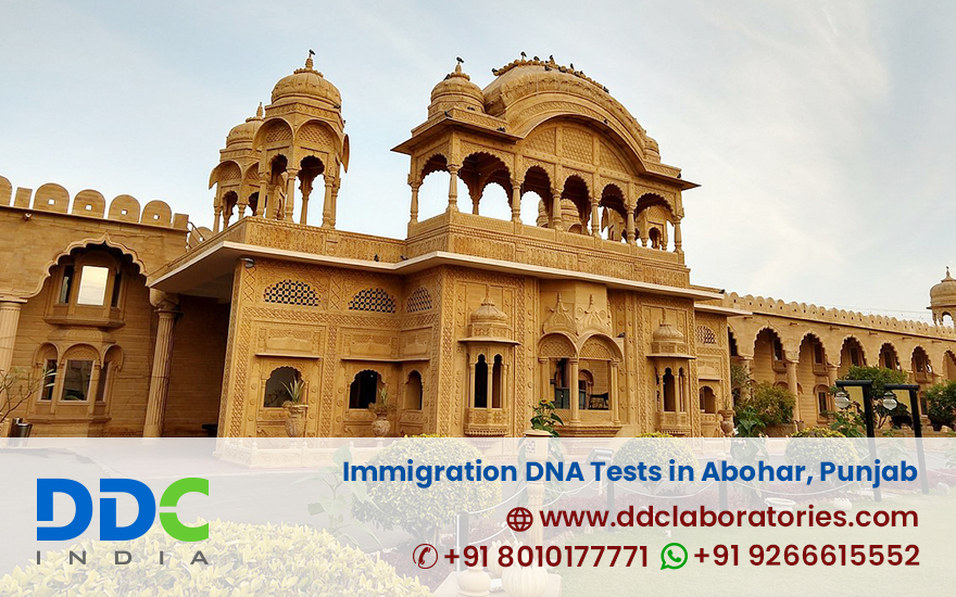 Immigration DNA Tests in Kapurthala  Quick and Reliable R - Delhi - Delhi ID1613033