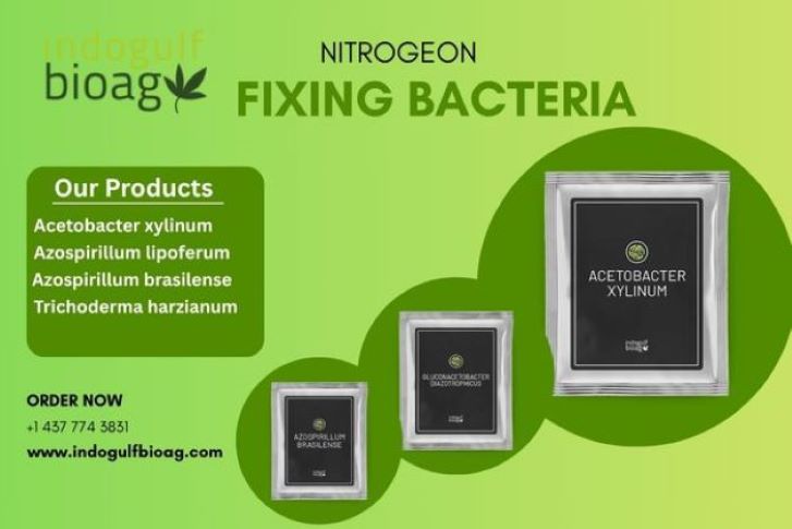 Nitrogen Fixing Bacteria for Organic Farming  Now Availab - Wyoming - Casper ID1608295