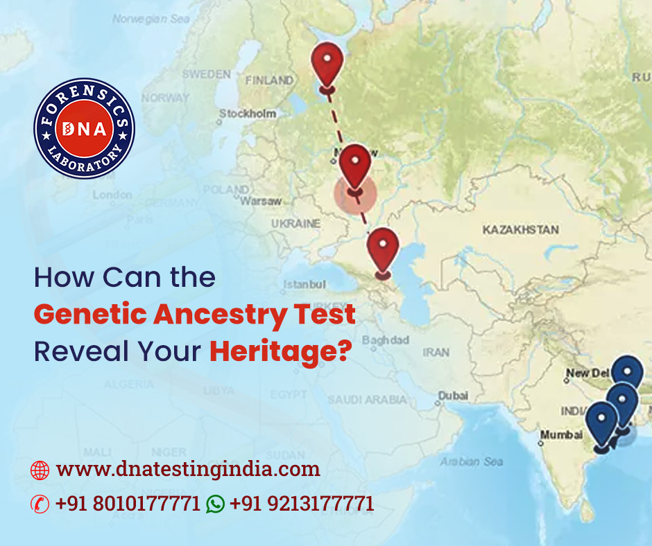 Why Choose Us for Reliable Ancestry DNA Testing? - Delhi - Delhi ID1593348