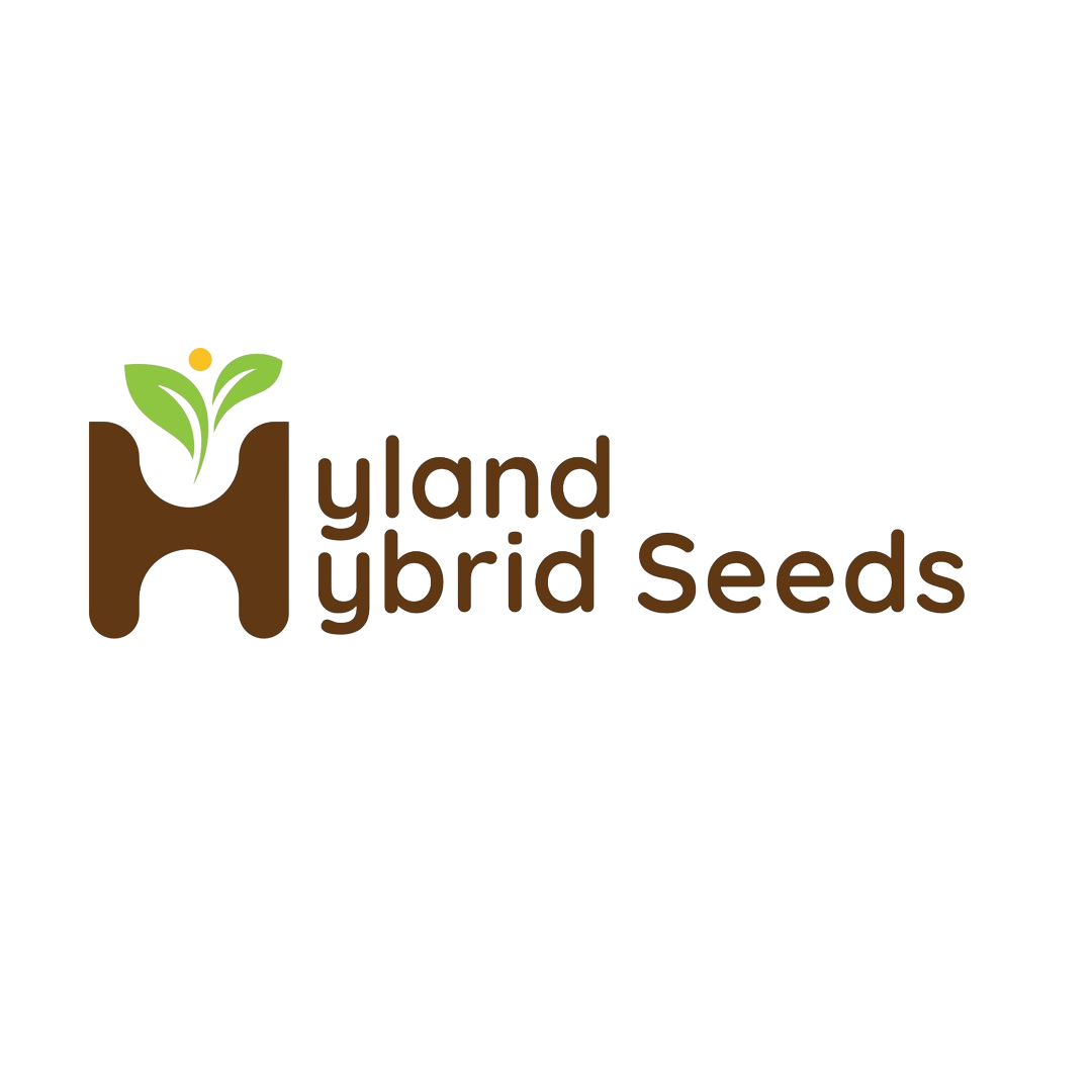 Best watermelon variety in india  Hyland Hybrid Seeds - Gujarat - Ahmedabad ID1606949