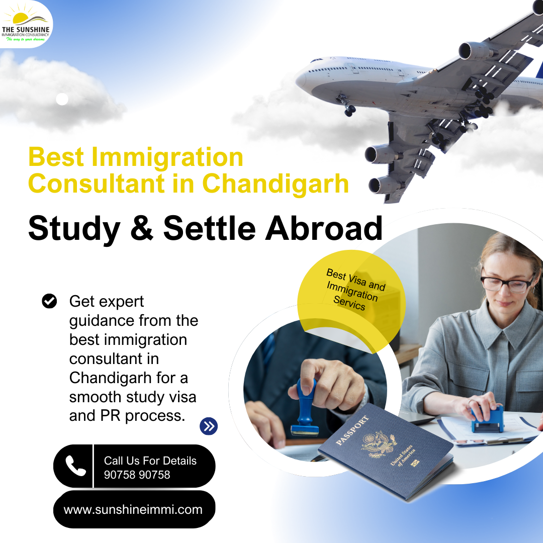 Best Immigration Consultant in Chandigarh  Study  Settle - Chandigarh - Chandigarh ID1597782
