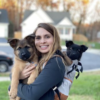 Dog Aggression Training in Tampa - Florida - Tampa ID1587166