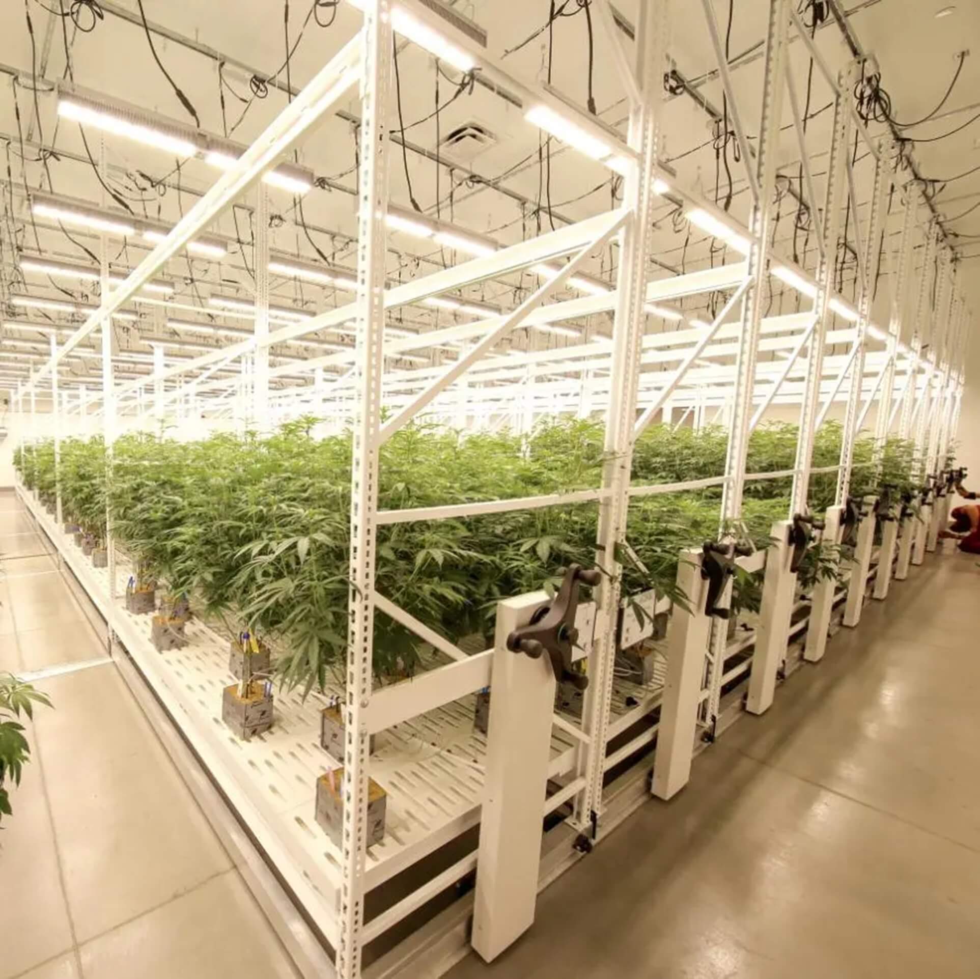 Mobile Vertical Grow Rack System - California - Cupertino ID1598463 1