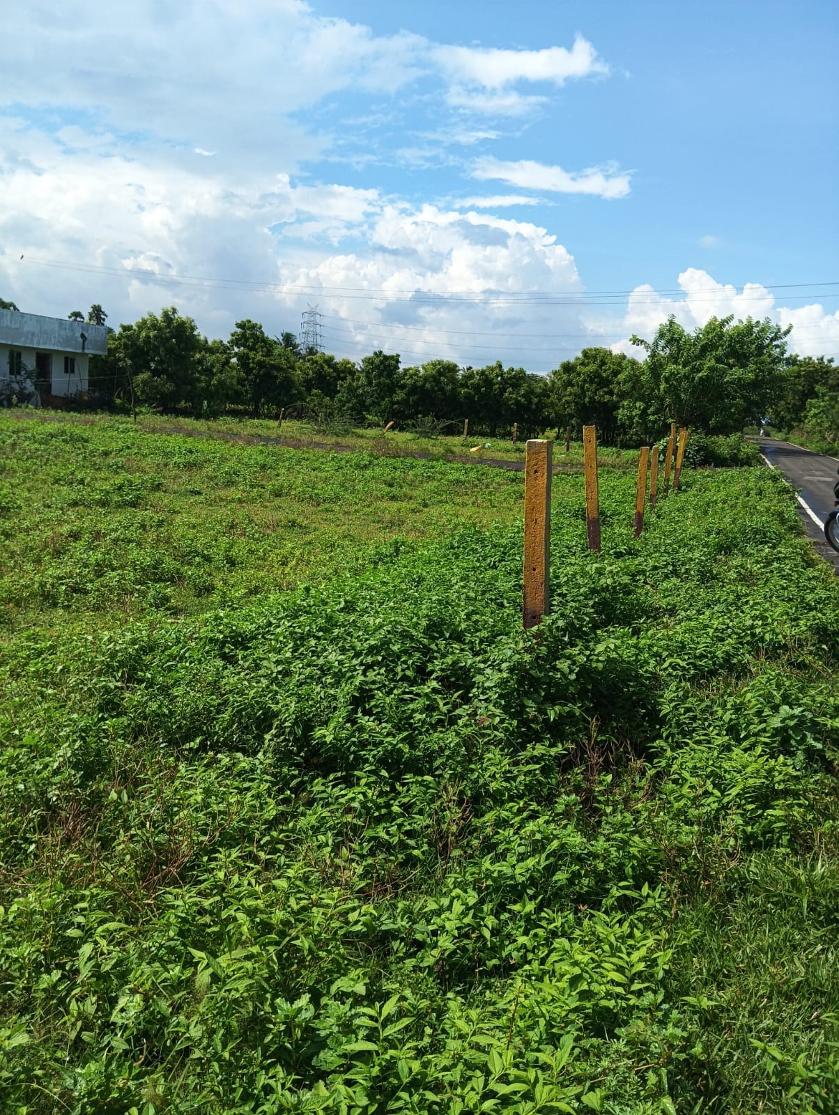     DTCP AND RARA APPROVED PLOTS FOR SALE AT VEPPAMPATTU - Tamil Nadu - Chennai ID1607500 4