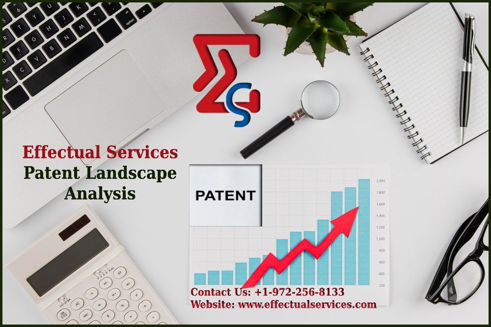 Patent Landscape Analysis Effectual Services - New York - New York ID1588401