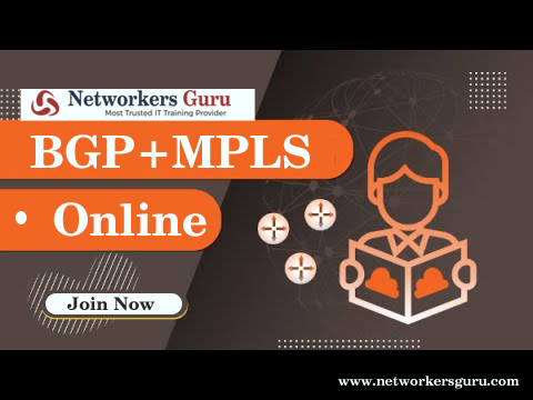 Best BGPMPLS Training Institute in India - Haryana - Gurgaon ID1537113 1