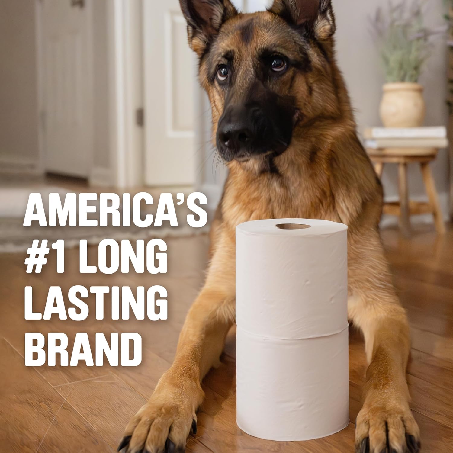 Scott 1000 Trusted Clean Toilet Paper Review - New York - New York ID1599659 3