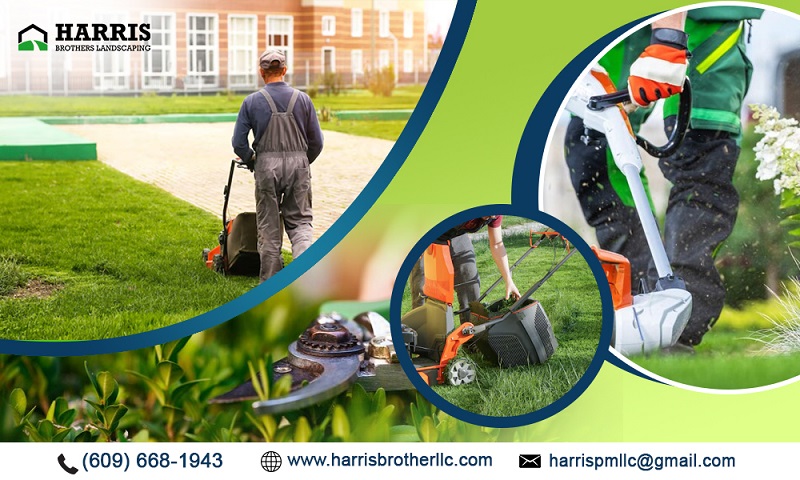 Reliable Lawn Care  Maintenance Services in the Medford - New Jersey - Jersey City ID1604179