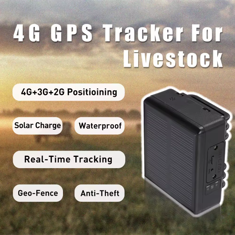 RFV24 Solar Bull Positioning Tracker Pet Dog Cat Tracker Wi - Alaska - Anchorage ID1587199