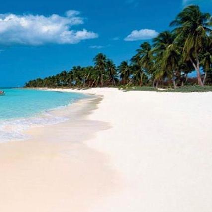 Terrenos En La Playa Solares Ciudad Y Fincas En El Campo E - New York - New York ID1610832