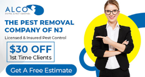 Commercial Pest Control Bergen County NJ - New Jersey - Jersey City ID1614307