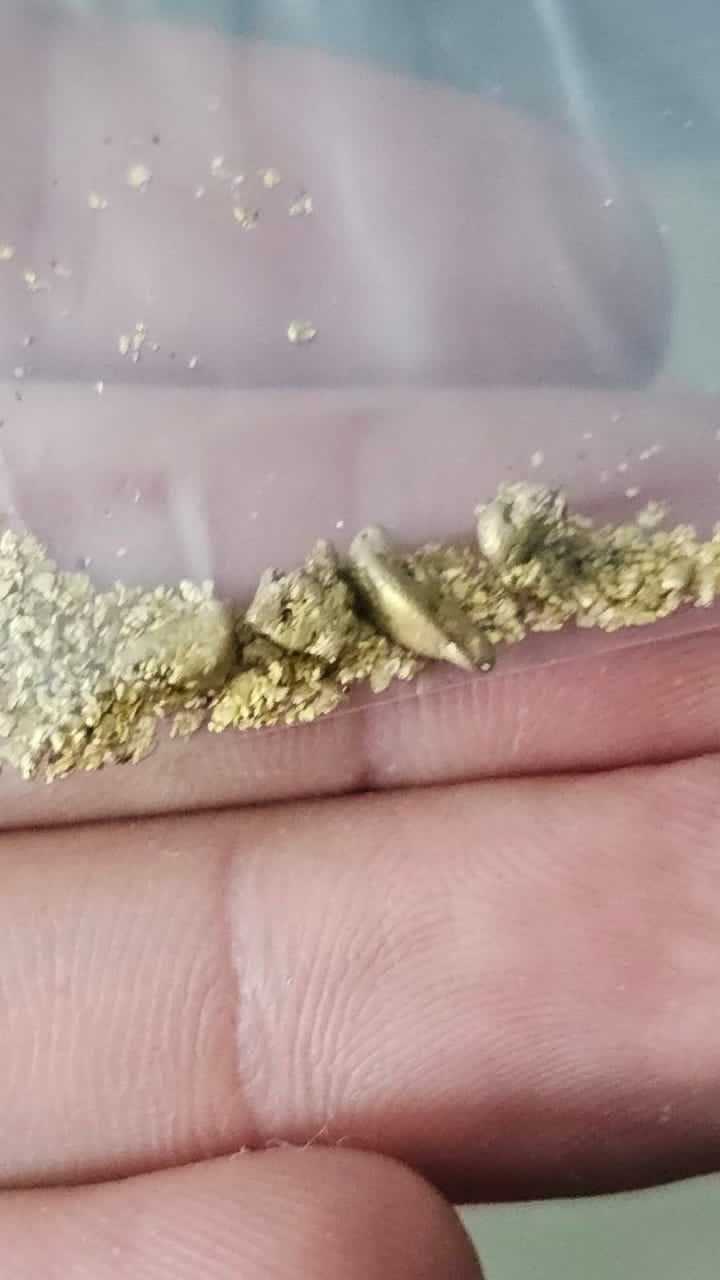 Gold Nuggets and dinosaur clawsteeth for sale - New York - Buffalo ID1604865 2