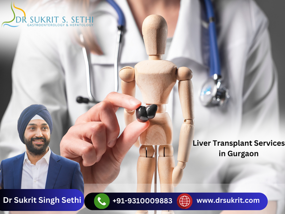 Best Liver Hospital in Gurgaon  Dr Sukrit Singh Sethi  - Indiana - Indianapolis ID1526690